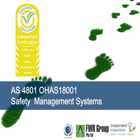 Iso 18000  safety management systems ohms  presentation peter greenham iigi f...