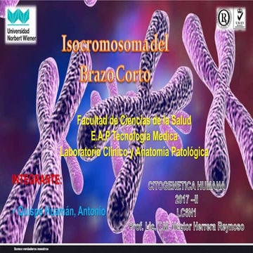 Isocromosoma del brazo corto - Síndrome de Pallister - Kilian 