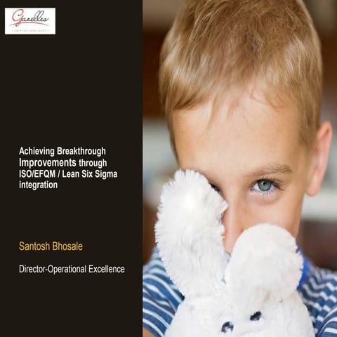 Iso  efqm lss integration