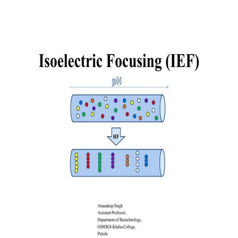 Isoelectric focusing