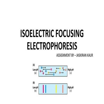 Isoelectric focusing electrophoresis- Principle , procedure and applications