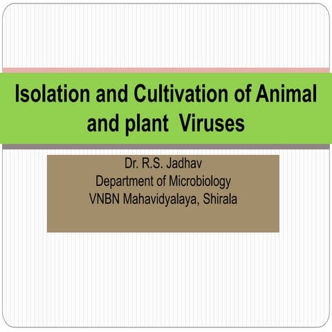 Isolation and cultivation  of animal and plant viruses