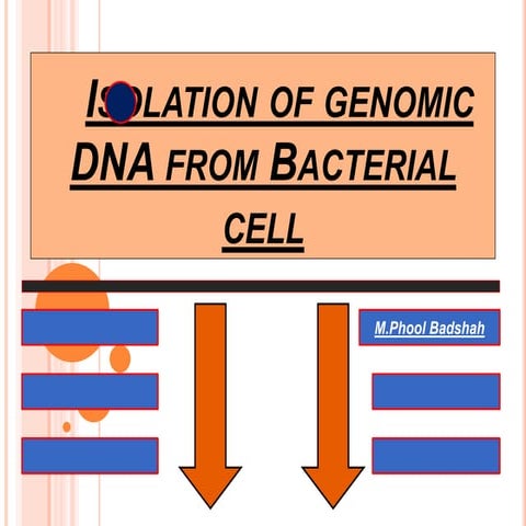 Isolation of genomic     DNA from Bacterial cell.pptx