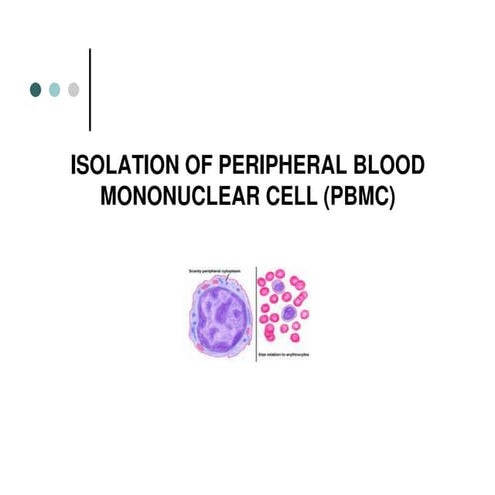 Isolation of pbmc