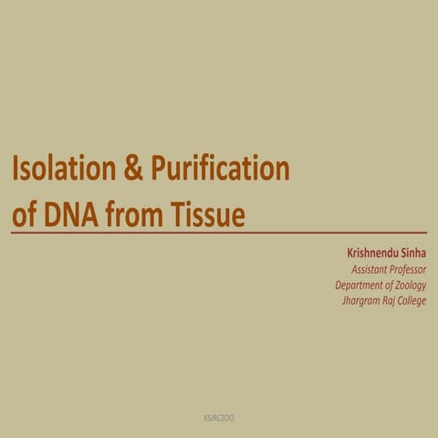 Isolation & purification of DNA from tissue