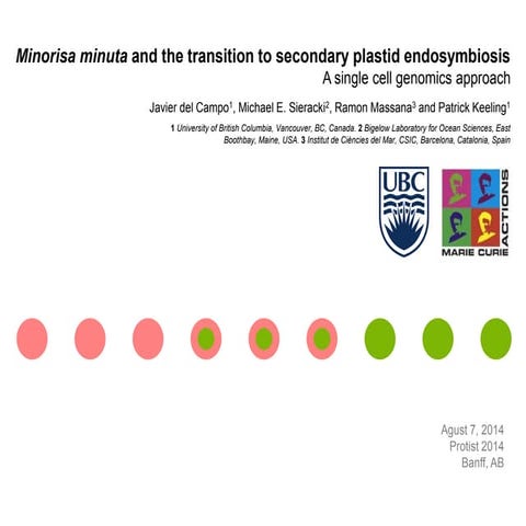 Minorisa minuta and the transition to secondary plastid endosymbiosis. A sing...