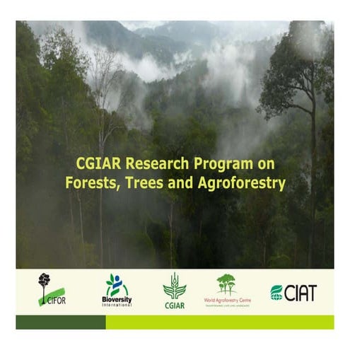 CGIAR Research Program on Forests, Trees and Agroforestry 
