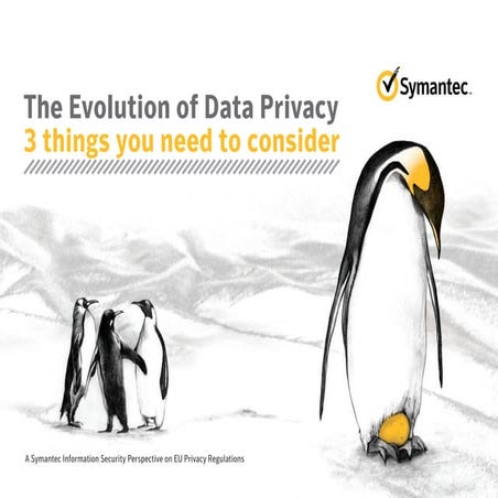 The Evolution of Data Privacy:  3 Things You Need To Consider