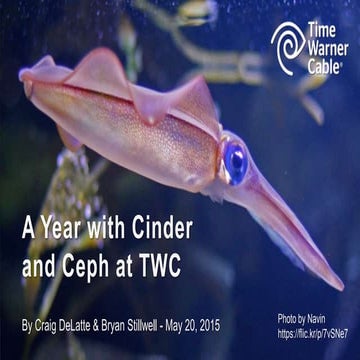 A Year with Cinder and Ceph at TWC