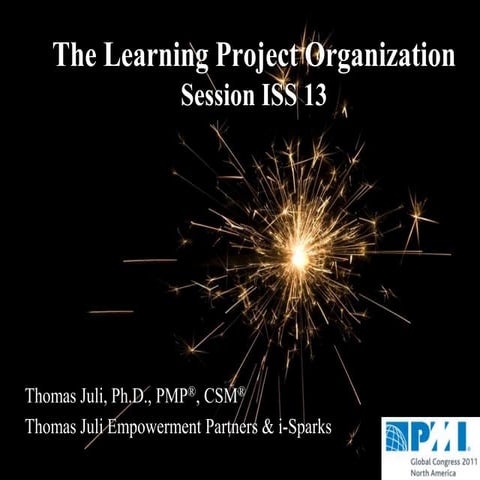 The Learning Project Organization