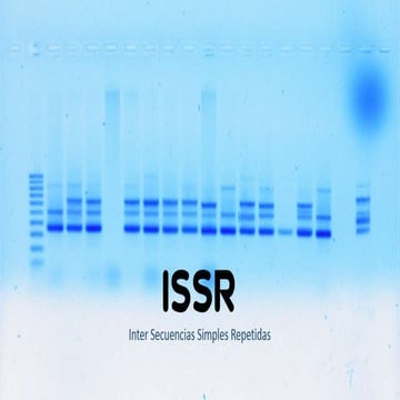 ISSR inter simple sequence repeat | PPTX