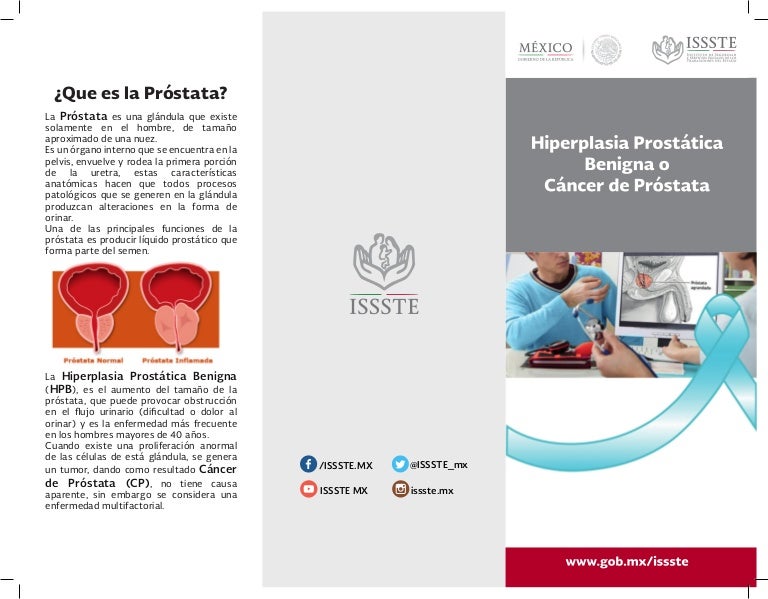 funciones principales de la próstata