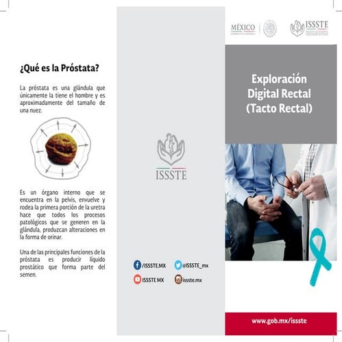 ISSSTE tríptico hiperplasia prostática | PDF