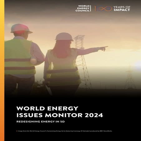 WEC World Energy Issues Monitor 2025 Full Report | PDF