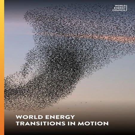 WEC World Energy Issues Monitor 2025 Full Report | PDF