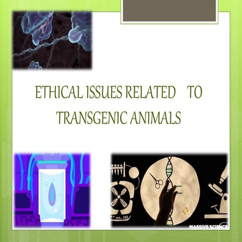 Ethical issues related to transgenic animals