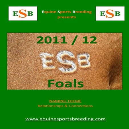 ESB foals 2011