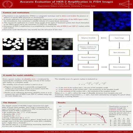 Accurate Evaluation of HER-2 Amplication in FISH Images Poster at Internatio...