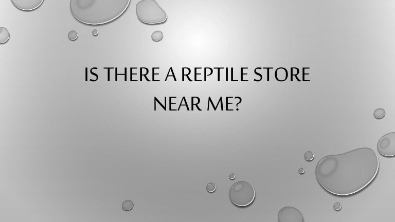 reptile stores nearby