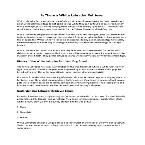 Is there a White Labrador Retriever: Understanding Labrador Retriever ...