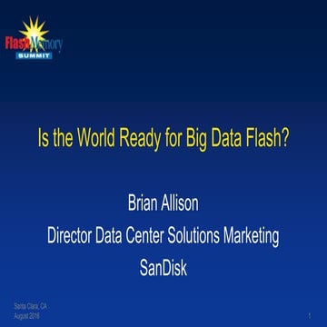 Is the World Ready for Big Data Flash?