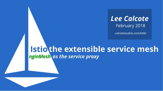 Istio: Using nginMesh as the service proxy
