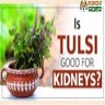 Is Tulsi Good For Kidneys