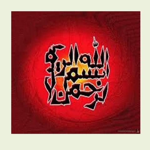 HEMOGLOBIN SYNTHESIS