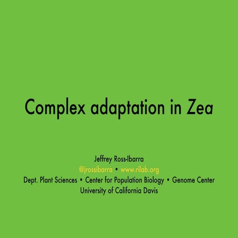 Complex adaptation in Zea