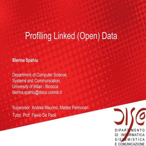 Profiling Linked Open Data