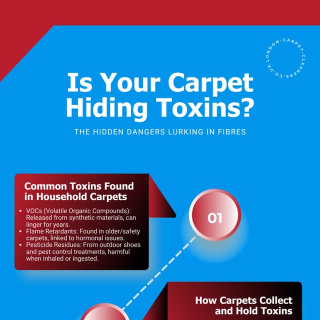 Is Your Carpet Hiding Toxins? The Hidden Dangers Lurking in Fibres PDF