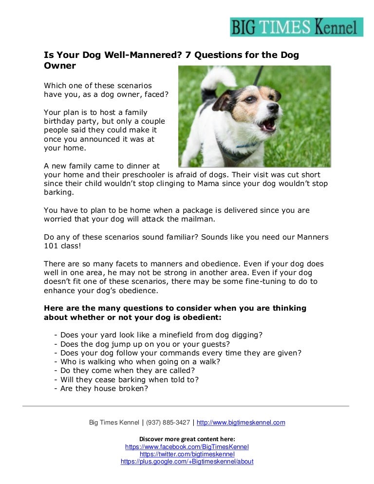 if your dog is 7 how old is he in dog years