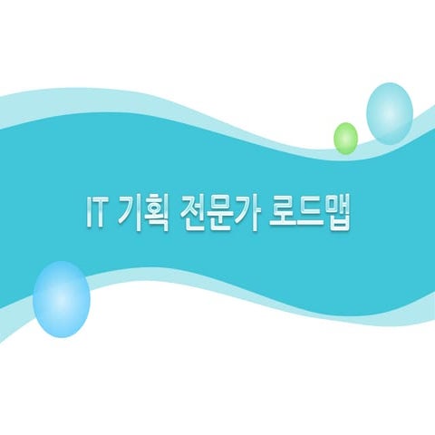 IT 비즈니스 기획 전문가 로드맵