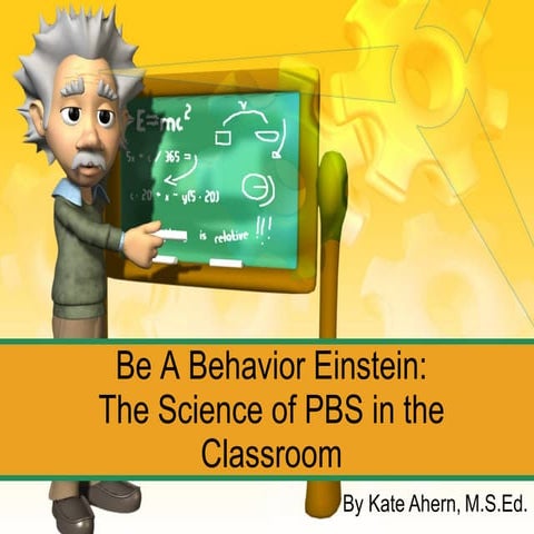 Behavior Einsteins, Positive Behavior Support