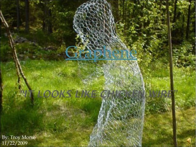 It Looks Like Chicken Wire