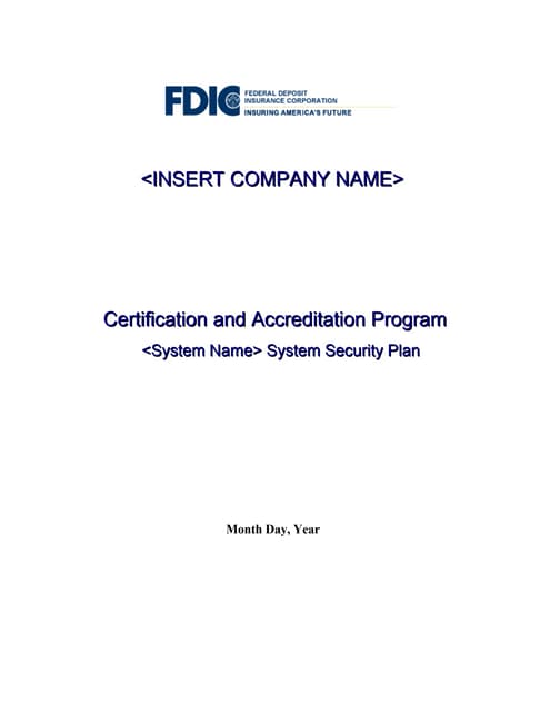 It security-plan-template