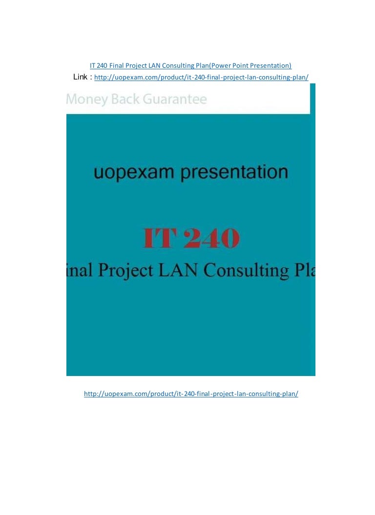 Lan consulting plan powerpoint presentation 06 image