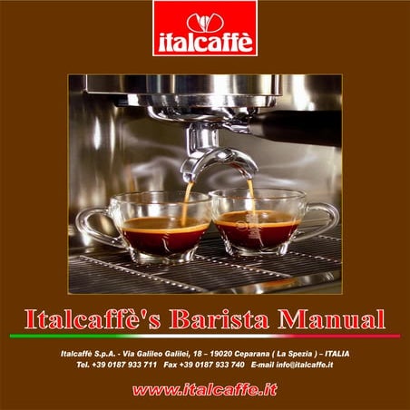 Italcaffe s barista_manual | PDF