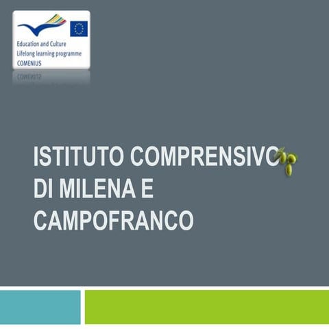 Presentation of Milena