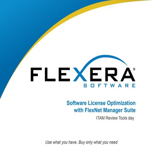 Flexera New York Tools Day