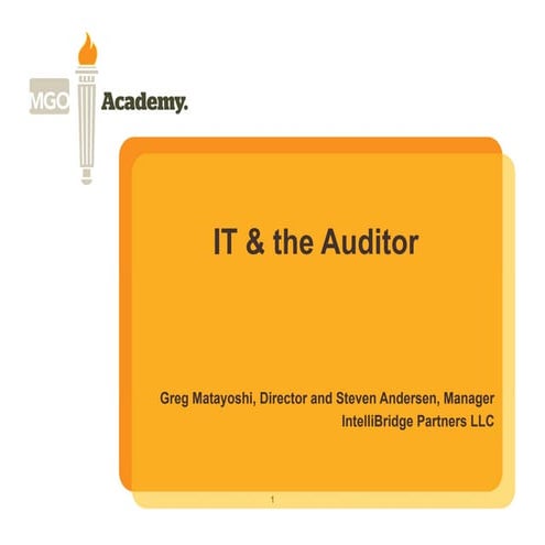 IT & the Auditor