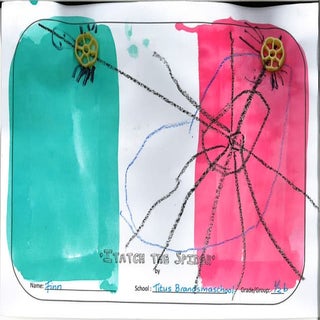 Itatch spiders group 1 2 b