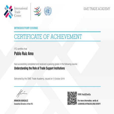 ITC - Understanding the Role of Trade Support Institutions - Pablo Ruiz ...