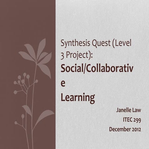 ITEC299: Janelle Law- Social/Collaborative Learning
