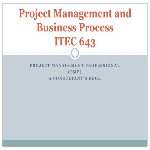 Project Management And Business Process