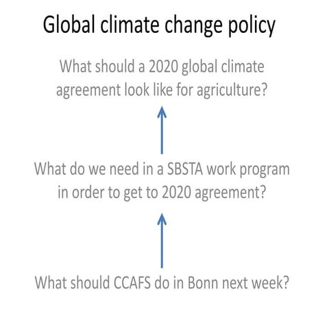 CCAFS Science Meeting Item 01 Campbell and Vermeulen - International negotiat...