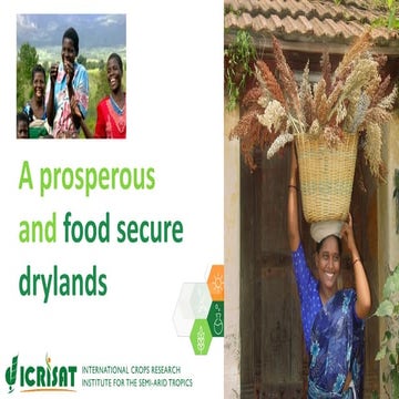 David Bergvinson Opening 