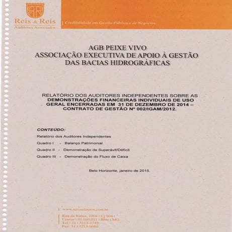 RELATÓRIO DOS AUDITORES INDEPENDENTES SOBRE AS DEMONSTRAÇÕES FINANCEIRAS INDI...