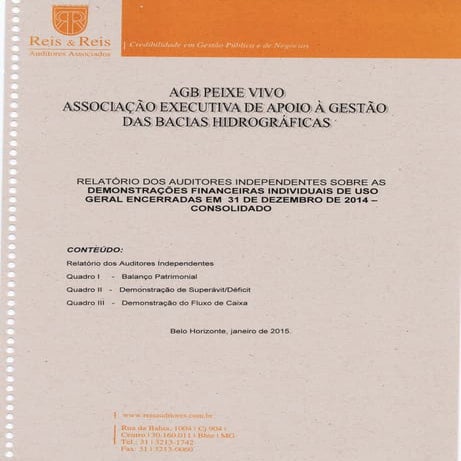 RELATÓRIO DOS AUDITORES INDEPENDENTES SOBRE AS DEMONSTRAÇÕES FINANCEIRAS INDI...