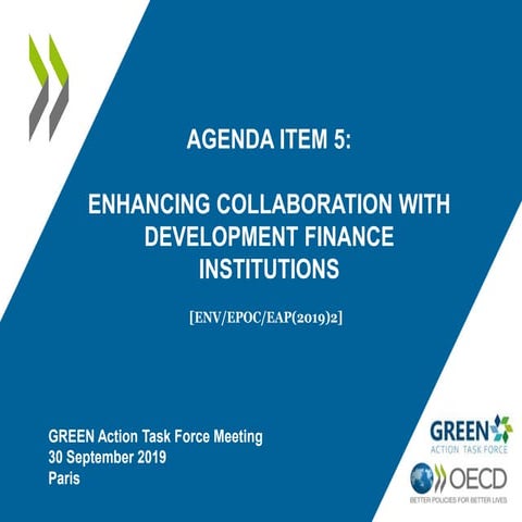 Item 5a Enhancing collaboration with development finance institutions